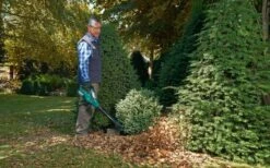 Bosch ALB 36 LI - Bladblazer - Met 36 V Accu En Lader -Buitentuin Winkel 1200x747 2