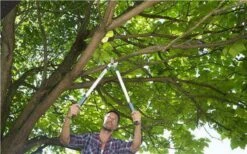 Gardena EasyCut Takkenschaar 68B + Classic Snoeischaar 8754 Display 1stuk 12003-30 -Buitentuin Winkel 1200x749 2