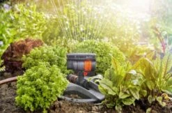 GARDENA - Zwenksproeier AquaZoom Compact - Tuinsproeier - 9 Tot 216 M² 23 GARDENA - Zwenksproeier AquaZoom Compact - Tuinsproeier - 9 Tot 216 M² -Buitentuin Winkel 1200x785 3