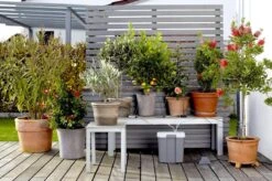 GARDENA Vakantiebewateringsset Duppelsysteem - Geschikt Voor 36 Potplanten - Incl. 9l Vat -Buitentuin Winkel 1200x799 189