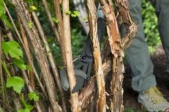 GARDENA - SlimCut Takkenschaar -28mm- Met Hefboommechanisme -Buitentuin Winkel 1200x799 67