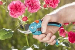 GARDENA - Classic B/S-M Bypass Snoeischaar - Ø 22mm - 25 Jaar Garantie -Buitentuin Winkel 1200x799 71