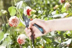 GARDENA Comfort B/M Bypass Snoeischaar - Ø 24mm - Met Sapgeul -Buitentuin Winkel 1200x799 92