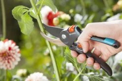 GARDENA Comfort B/M Bypass Snoeischaar - Ø 24mm - Met Sapgeul -Buitentuin Winkel 1200x799 93