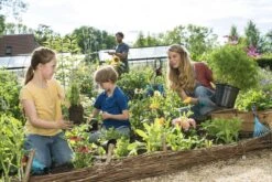 GARDENA Combisystem Bladharkje - Werkbreedte 12 Cm - 25 Jaar Garantie -Buitentuin Winkel 1200x800 288