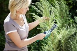 Bosch ISIO Gen III Accu Buxusschaar + Grasschaar -Buitentuin Winkel 1200x800 332