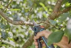 GARDENA AssistCut Snoeischaar- Ø 25mm 24 GARDENA AssistCut Snoeischaar- Ø 25mm -Buitentuin Winkel 1200x800 337