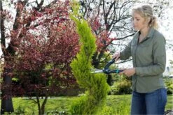 GARDENA PrecisionCut Buxusschaar - Meslengte 18 Cm - Vormsnoeien -Buitentuin Winkel 1200x800 348