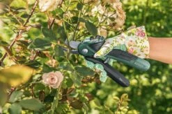 Bosch EasyPrune Accu Snoeischaar - 3.6 V Accu - USB -Buitentuin Winkel 1200x800 362