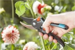 GARDENA Comfort B/M Bypass Snoeischaar - Ø 24mm - Met Sapgeul -Buitentuin Winkel 1200x800 366