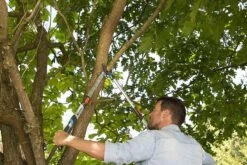 Gardena TeleCut Takkenschaar 650-900 B - Uitschuifbare Armen - Tot Max 90 Cm -Buitentuin Winkel 1200x800 370