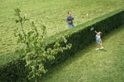 Bosch AHS 50-20 Accu Heggenschaar - Met 1 X 18 V Accu En Lader -Buitentuin Winkel 1200x800 373