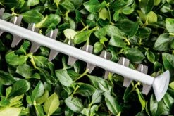 Bosch UniversalHedgeCut 60 Heggenschaar - Op Snoer - Lengte 60 Cm -Buitentuin Winkel 1200x800 379