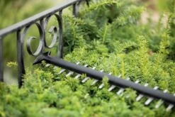 Bosch UniversalHedgeCut 18-55 Heggenschaar - Zonder 18V Accu En Oplader -Buitentuin Winkel 1200x800 383