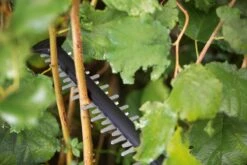 Bosch UniversalHedgeCut 18-55 Heggenschaar - Zonder 18V Accu En Oplader -Buitentuin Winkel 1200x800 386