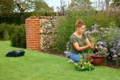 Bosch Indego S+ 500 Robotmaaier - Voor Gazons Tot 500 M2 - Incl. Laadstation En Accessoires - Connected -Buitentuin Winkel 1200x800 401