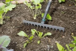 Gardena NatureLine Hark | 36 Cm | FSC 100% - 17106-20 -Buitentuin Winkel 1200x800 466