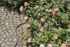 GARDENA Kraanverbindingsstuk Binnenshuis -Buitentuin Winkel 1200x800 563