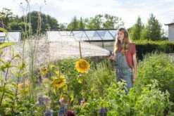 GARDENA - Comfort Broeskop - 5 Straalsoorten - Grijs -Buitentuin Winkel 1200x800 579