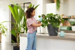 Elho Brussels Gieter 1,8l - Gieter Voor Binnenkweken En Oogsten - Ø 33.0 X H 17.0 Cm - Groen/Mint -Buitentuin Winkel 1200x800 593