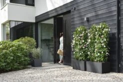 Elho Vivo Next Vierkant 30 - Plantenbak Voor Binnen & Buiten - Ø 29.5 X H 29.5 Cm - Zwart/Living Black -Buitentuin Winkel 1200x800 609