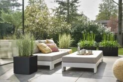 Elho Vivo Next Vierkant 30 - Plantenbak Voor Binnen & Buiten - Ø 29.5 X H 29.5 Cm - Zwart/Living Black -Buitentuin Winkel 1200x800 610