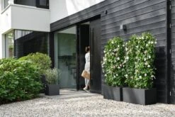 Elho Vivo Next Vierkant 30 - Plantenbak Voor Binnen & Buiten - Ø 29.5 X H 29.5 Cm - Zwart/Living Black -Buitentuin Winkel 1200x800 611