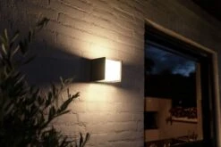 Philips Hue Fuzo Muurlamp - Warmwit Licht - Zwart - Smal - Open -Buitentuin Winkel 1200x800 620