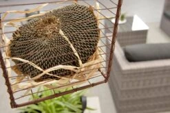 Garden Impressions Montana Loungeset - Organic Grey -Buitentuin Winkel 1200x801 7