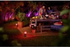 Philips Hue Calla Sokkellamp - Wit En Gekleurd Licht - Zwart - Laag - Laagspanning - Uitbreiding -Buitentuin Winkel 1200x811 7