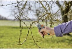 GARDENA - ExpertCut - Snoeischaar - 22 Diameter Tak 34 GARDENA - ExpertCut - Snoeischaar - 22 Diameter Tak -Buitentuin Winkel 1200x815