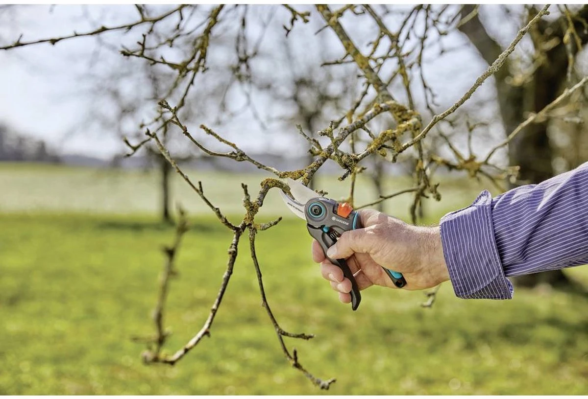 GARDENA - ExpertCut - Snoeischaar - 22 Diameter Tak 18 GARDENA - ExpertCut - Snoeischaar - 22 Diameter Tak - Afbeelding 16