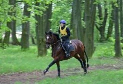 Aqua2Go GD86 Staand Electrische Pressure Washer - 20 Liter Tank - Afneembare Pomp -Buitentuin Winkel 1200x817 4