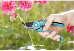 GARDENA - Classic B/S-M Bypass Snoeischaar - Ø 22mm - 25 Jaar Garantie -Buitentuin Winkel 1200x820 12