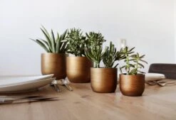 Capi Europe - Set Van 4 - Bloempot Binnen - Retro - - Goud - Bloempot Voor Binnen - BOX-BRTG-4 -Buitentuin Winkel 1200x820 18