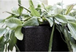 Capi Europe - Bloempot Vierkant Smooth NL - 40x40x40 - Zwart - Voor Binnen En Buiten - KBL903 -Buitentuin Winkel 1200x820 19