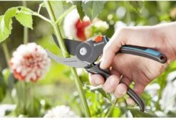 GARDENA Comfort B/M Bypass Snoeischaar - Ø 24mm - Met Sapgeul -Buitentuin Winkel 1200x822 3