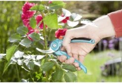 GARDENA 08853-20 Gardena Tuinschaar 12 GARDENA 08853-20 Gardena Tuinschaar -Buitentuin Winkel 1200x825 11