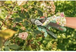 Bosch EasyPrune Accu Snoeischaar - 3.6 V Accu - USB -Buitentuin Winkel 1200x825 14