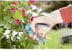 GARDENA - Classic B/S-M Bypass Snoeischaar - Ø 22mm - 25 Jaar Garantie -Buitentuin Winkel 1200x825 3