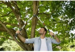 Gardena TeleCut Takkenschaar 650-900 B - Uitschuifbare Armen - Tot Max 90 Cm -Buitentuin Winkel 1200x826 4