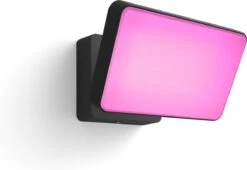 Philips Hue Discover Verstraler - Wit En Gekleurd Licht - Zwart -Buitentuin Winkel 1200x826 7