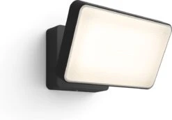 Philips Hue Outdoor Welcome Floodlight Schijnwerper - White - Zwart - 15W - IP44 -Buitentuin Winkel 1200x835 9