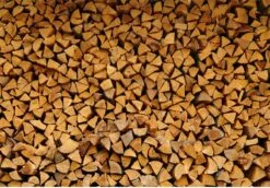 Steko Houtsplijter Voor Grote Blokken - Voor Aanmaakhout & Brandhout - Houtklover - Houtkliever - Splijtwig - Handmatig - Overal Te Gebruiken 1605 Gram - Metaal - Kloofwig - HOGE VOLUMEKORTING -Buitentuin Winkel 1200x837 3