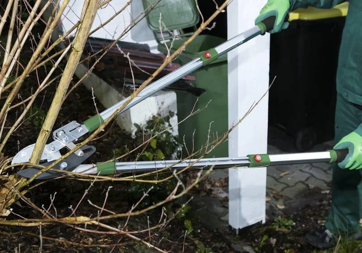 Telescopische Takkenschaar, 6-voudig 4 Telescopische Takkenschaar, 6-voudig - Afbeelding 2