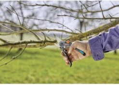 GARDENA - ExpertCut - Snoeischaar - 22 Diameter Tak 33 GARDENA - ExpertCut - Snoeischaar - 22 Diameter Tak -Buitentuin Winkel 1200x859 1