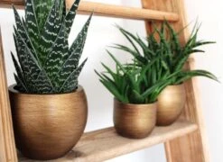 Capi Europe - Bloempot Bol Retro XL - 42x41 - Goud - Bloempot Voor Binnen - Opening ⌀36 - RTG933 -Buitentuin Winkel 1200x876 6