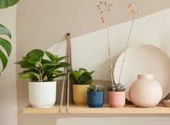 Elho Vibes Fold Rond Wielen 35 - Bloempot Voor Binnen - Ø 34.9 X H 32.4 Cm - Zijdewit -Buitentuin Winkel 1200x879 8