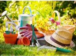 Tuingereedschap Set Tuinierset 10 Delig - Snoeischaar Tuinschaar Bloemenschaar Tuinschepje Plantenspuit Handhark -Buitentuin Winkel 1200x885 3