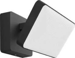 Philips Hue Outdoor Welcome Floodlight Schijnwerper - White - Zwart - 15W - IP44 -Buitentuin Winkel 1200x921 4